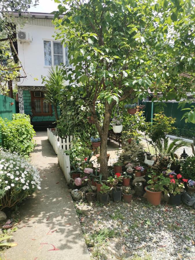 Гостевой Дом В Гаграх"Море Солнца" Gagra Exteriör bild
